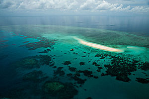 Ocean Safari Great Barrier Reef